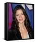 Jill Hennessy-null-Framed Stretched Canvas