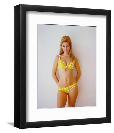 Photo, , large