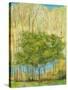 Stretched Canvas