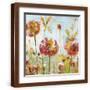 Brown Frame