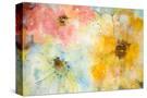 Stretched Canvas