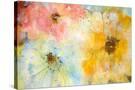 Stretched Canvas