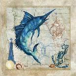 Nautical Swordfish-Jill Meyer-Framed Art Print