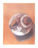 Striated Shell-Jill O'Connell-Framed Limited Edition