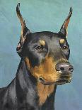 Dog Portrait, Dobie-Jill Sands-Stretched Canvas