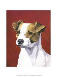 Dog Portrait, Dobie-Jill Sands-Framed Art Print