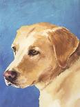 Dog Portrait, Jack-Jill Sands-Laminated Art Print
