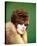 Jill St. John-null-Stretched Canvas