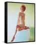 Jill St. John-null-Framed Stretched Canvas