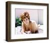 Jill St. John-null-Framed Photo