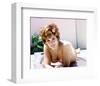 Jill St. John-null-Framed Photo