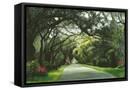 Canvas Black