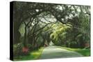 Stretched Canvas
