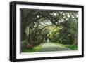 Black Frame