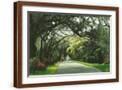 Brown Frame