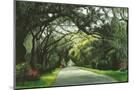 Wood Mount