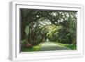 White Frame