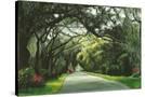 Stretched Canvas