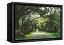 Canvas Black