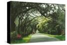 Stretched Canvas