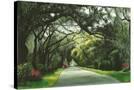 Stretched Canvas
