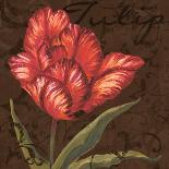 Tulipa II-Jillian Jeffrey-Art Print