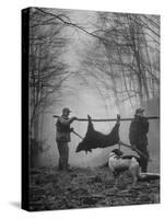 Jim Atchley and Dr. Ray Atchley Carrying Boar That They Killed-Ralph Crane-Stretched Canvas