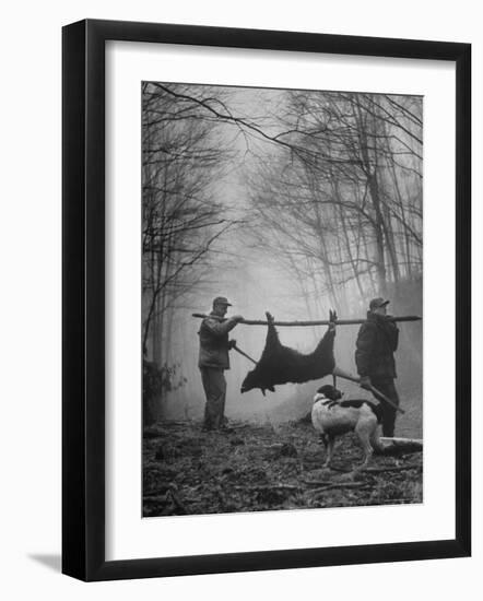 Jim Atchley and Dr. Ray Atchley Carrying Boar That They Killed-Ralph Crane-Framed Photographic Print