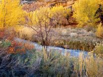 Upson Lake Reflection-Jim Becia-Photographic Print