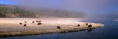 Sunrays Through the Fog-Jim Becia-Photographic Print