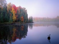 Sunrays Through the Fog-Jim Becia-Photographic Print