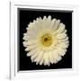 Gramercy White