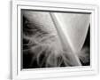 Gramercy White