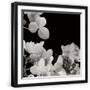 Black Frame