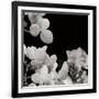 Gramercy Black