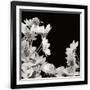 Gramercy Black