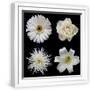 White Frame