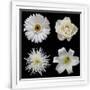 Gramercy White