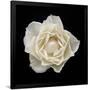 Gramercy Black