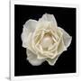Gramercy White