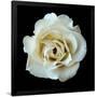Gramercy Black