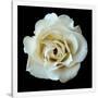 Gramercy White