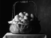 All Eggs in One Basket-Jim Craigmyle-Photographic Print