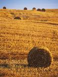 Harvested Fields of Hay-Jim Craigmyle-Photographic Print