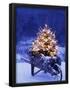 Essential Black