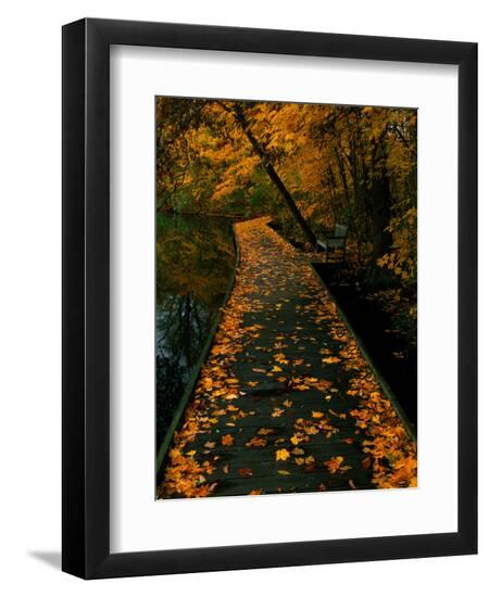 Premium Photographic Print, , large