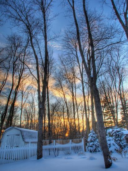 Photographic Print, , large