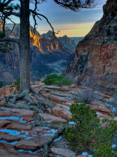 Premium Photographic Print, , large