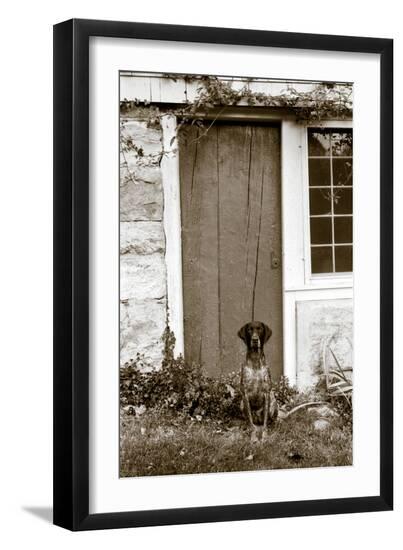 Photographic Print, , large