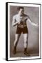 Jim Driscoll, Welsh Boxer-null-Framed Stretched Canvas